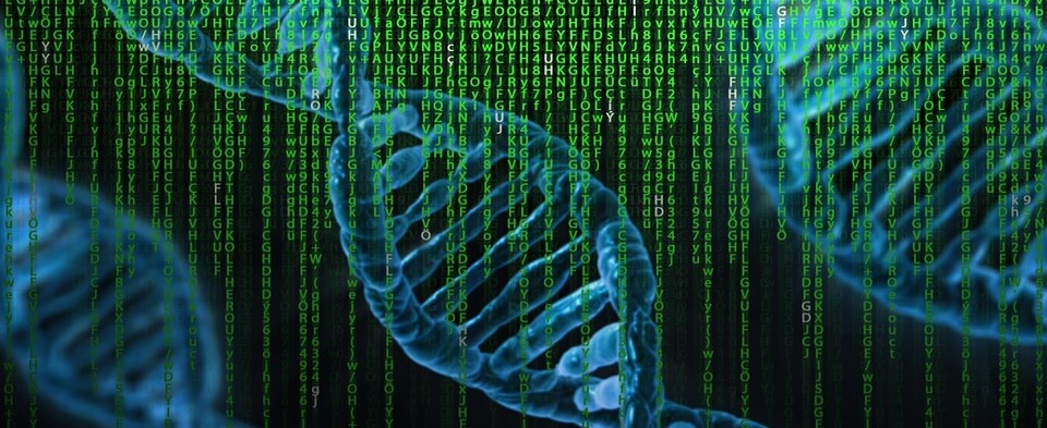 The Simulation Theory: Is God a Programmer?