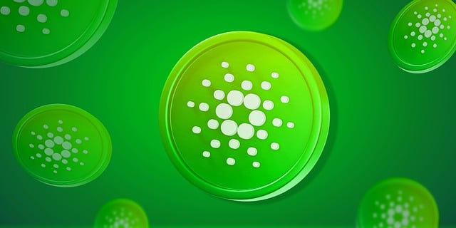 Cardano: The Bridge of Wisdom and Technology