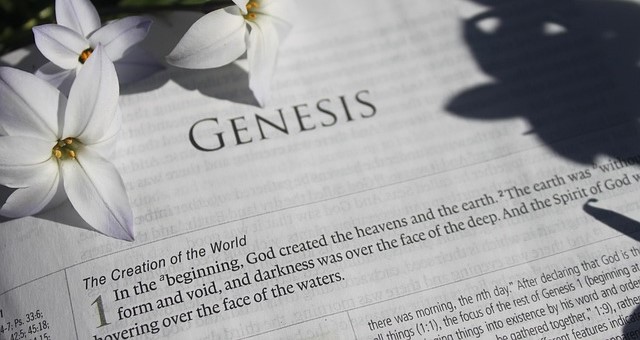 Egods of Genesis: Intelligence as the Basis of Reality