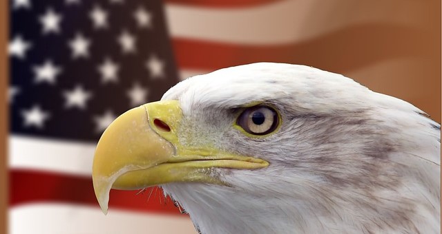🦅 The Rise of the America Party – A New Political Brain?